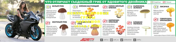 спиды Дмитров