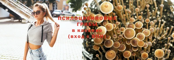 спиды Дмитров